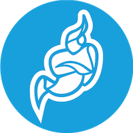 Logo Jitsi Meet